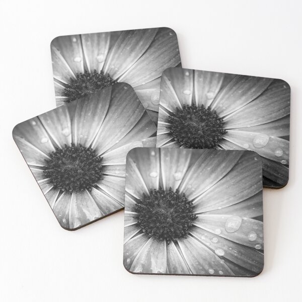 Item preview, Cape Marigold Black And White designed and sold by Tanya C  Smith.