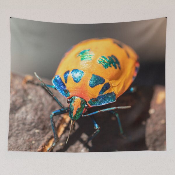 Item preview, Jewel Bug 3 designed and sold by Jacquiamber.