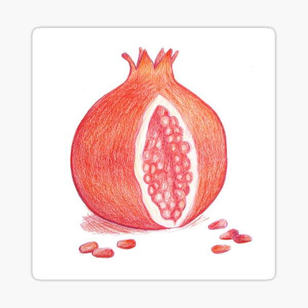 Pomegranate Sticker