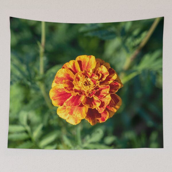 Item preview, Marigold designed and sold by Jacquiamber.