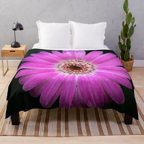 Item preview, Transvaal Daisy designed and sold by Jacquiamber.