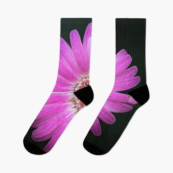 Item preview, Transvaal Daisy designed and sold by Jacquiamber.