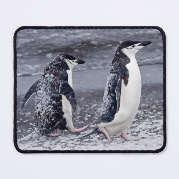 Item preview, Call this a Beach Holiday???  Next time I'm going to Margate... designed and sold by Krys Bailey.