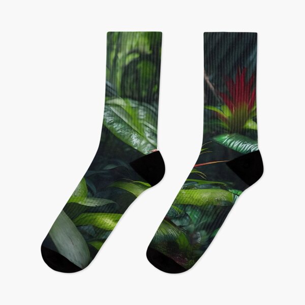 Item preview, Bromeliad plant in deep Forest Art designed and sold by N1chePrints.
