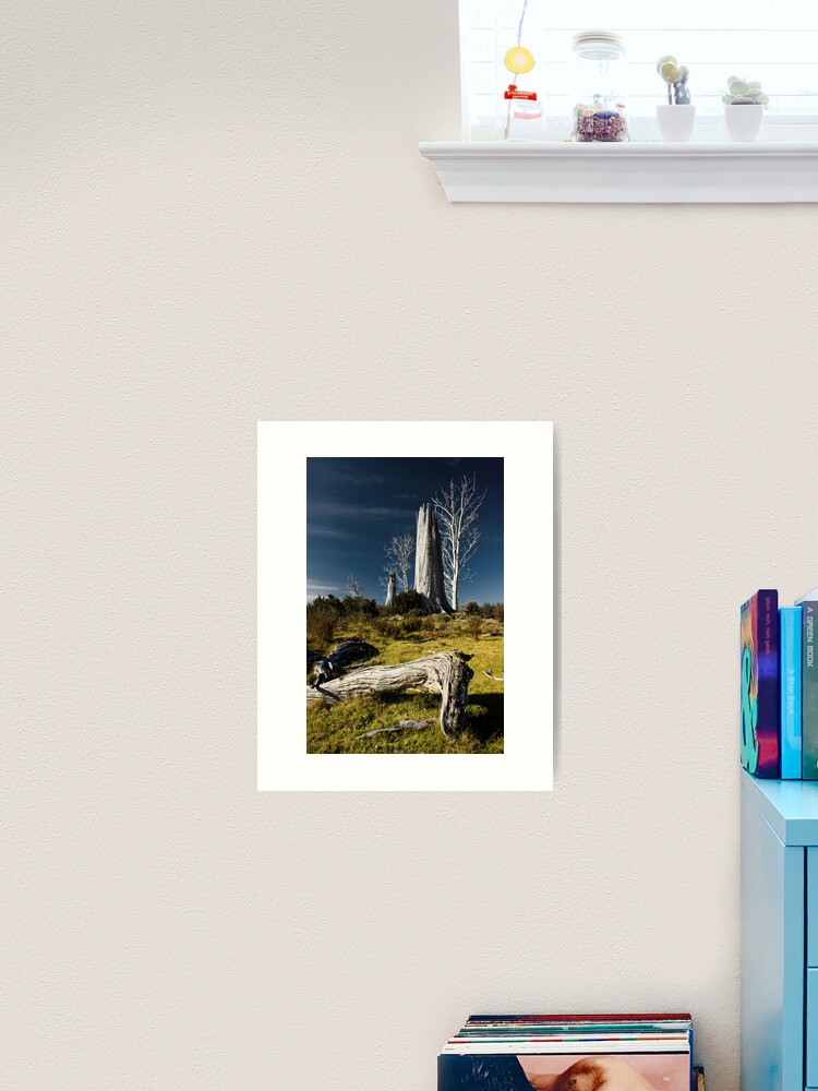 Thumbnail 1 of 3, Art Print, The stories they could tell..... designed and sold by Tim Wootton.
