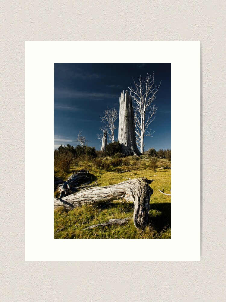Thumbnail 2 of 3, Art Print, The stories they could tell..... designed and sold by Tim Wootton.