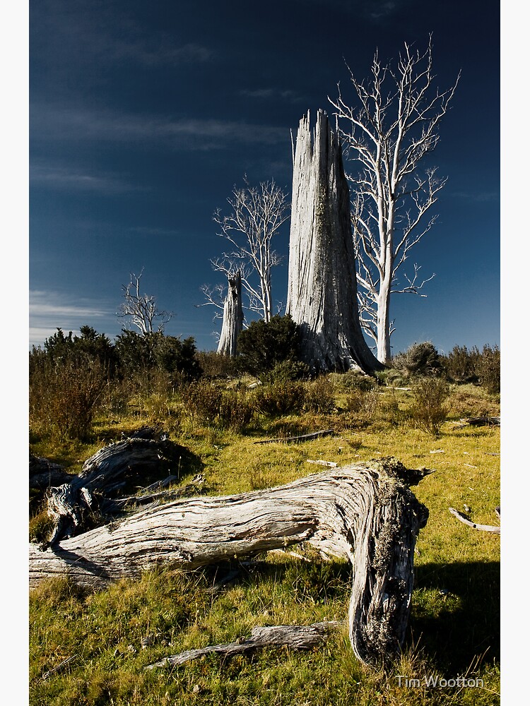 Thumbnail 3 of 3, Art Print, The stories they could tell..... designed and sold by Tim Wootton.