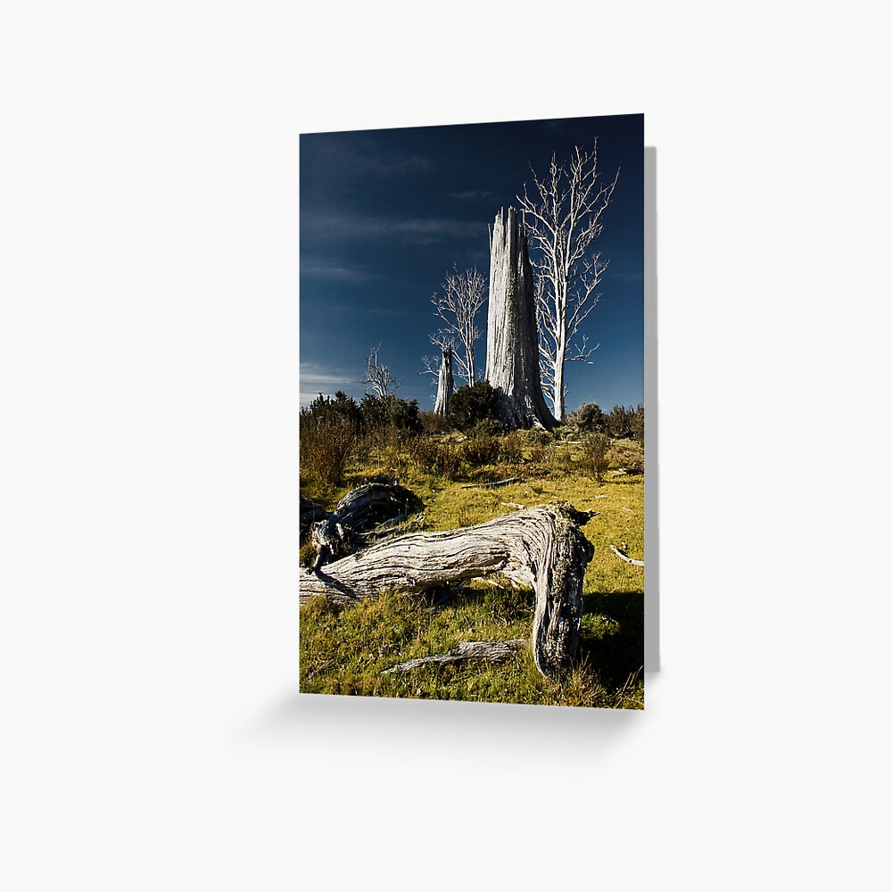 Item preview, Greeting Card designed and sold by wootton60.