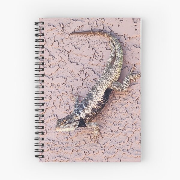 Item preview, Desert Spiny Lizard Photo designed and sold by Willyboy16.