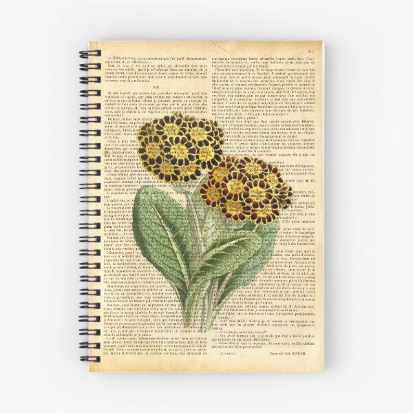 Item preview, Botanical print, on old book page - Primula auricula designed and sold by Art by Lilia.