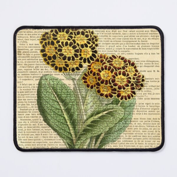 Item preview, Botanical print, on old book page - Primula auricula designed and sold by Art by Lilia.
