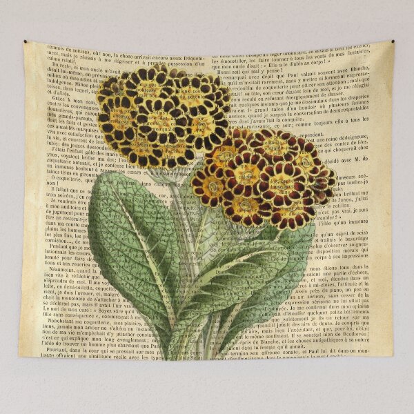 Item preview, Botanical print, on old book page - Primula auricula designed and sold by Art by Lilia.