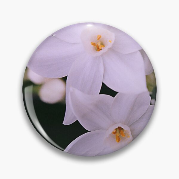 Item preview, Motley Crew of White Jonquils designed and sold by Melissa Holland.