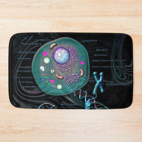 Item preview, Animal Diagram designed and sold by Pebbledrops.