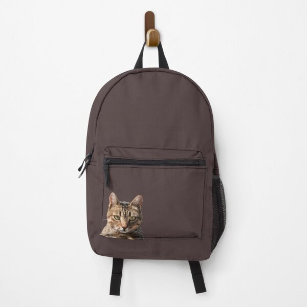 Item preview, Portrait Of A Cute Tabby Cat With Direct Eye Contact Vector designed and sold by taiche.