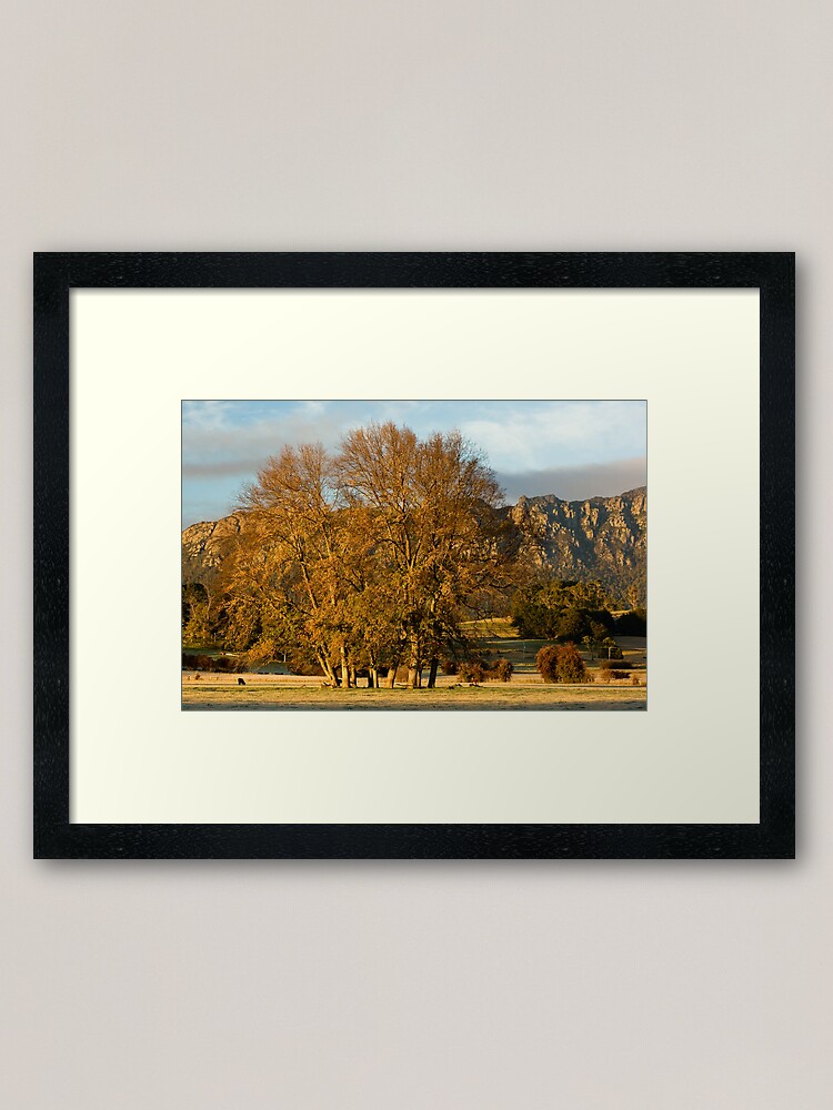 Alternate view of Golden Light Framed Art Print