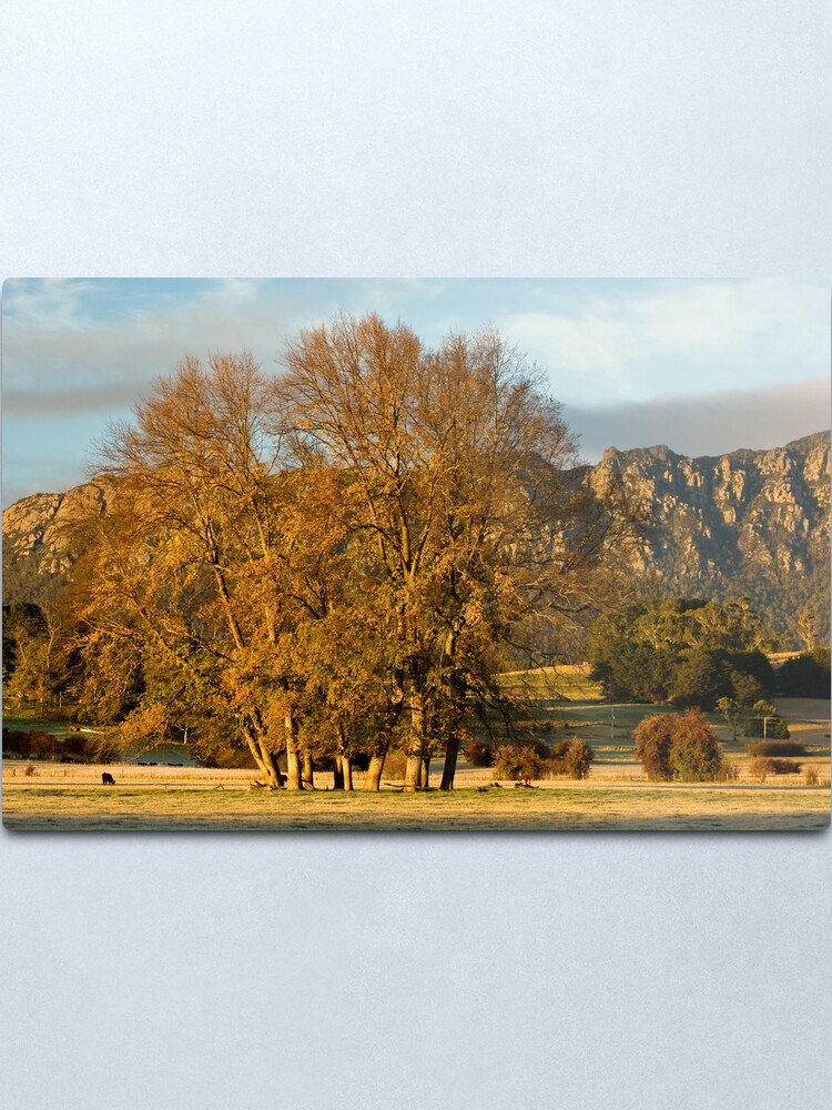 Alternate view of Golden Light Metal Print