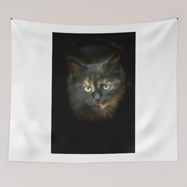 Item preview, Portrait of threecolor cat on black background designed and sold by olena2552.