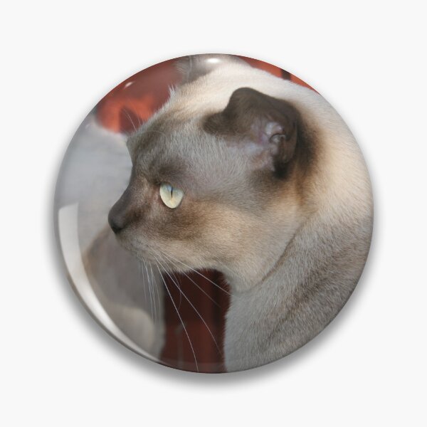 Item preview, Burmese Cat on Step designed and sold by Melissa Holland.