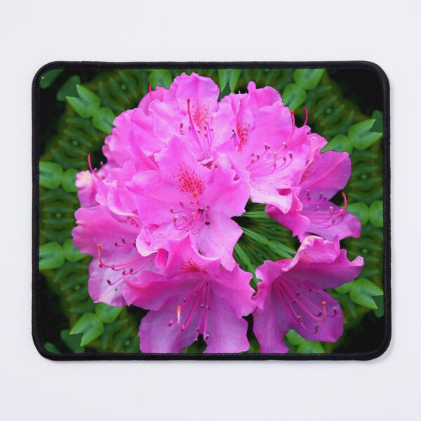 Item preview, Azalea Beautiful Lavender Bells designed and sold by BostonArcImage.
