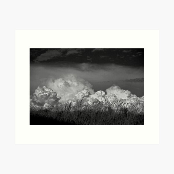 Storm Brewing Art Print