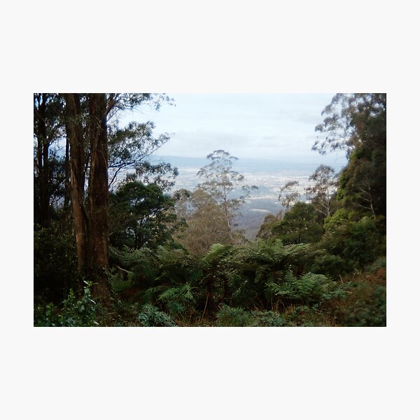 Item preview, At the top of Brown Mountain designed and sold by Melissa Holland.