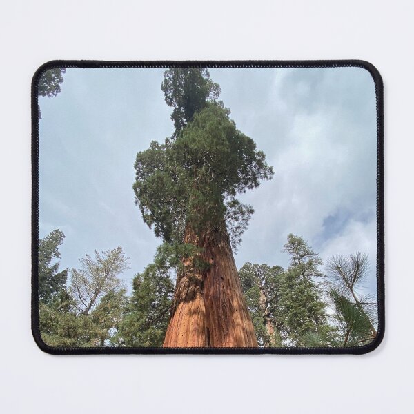 Item preview, Sequoia Tree designed and sold by ShamanLight.