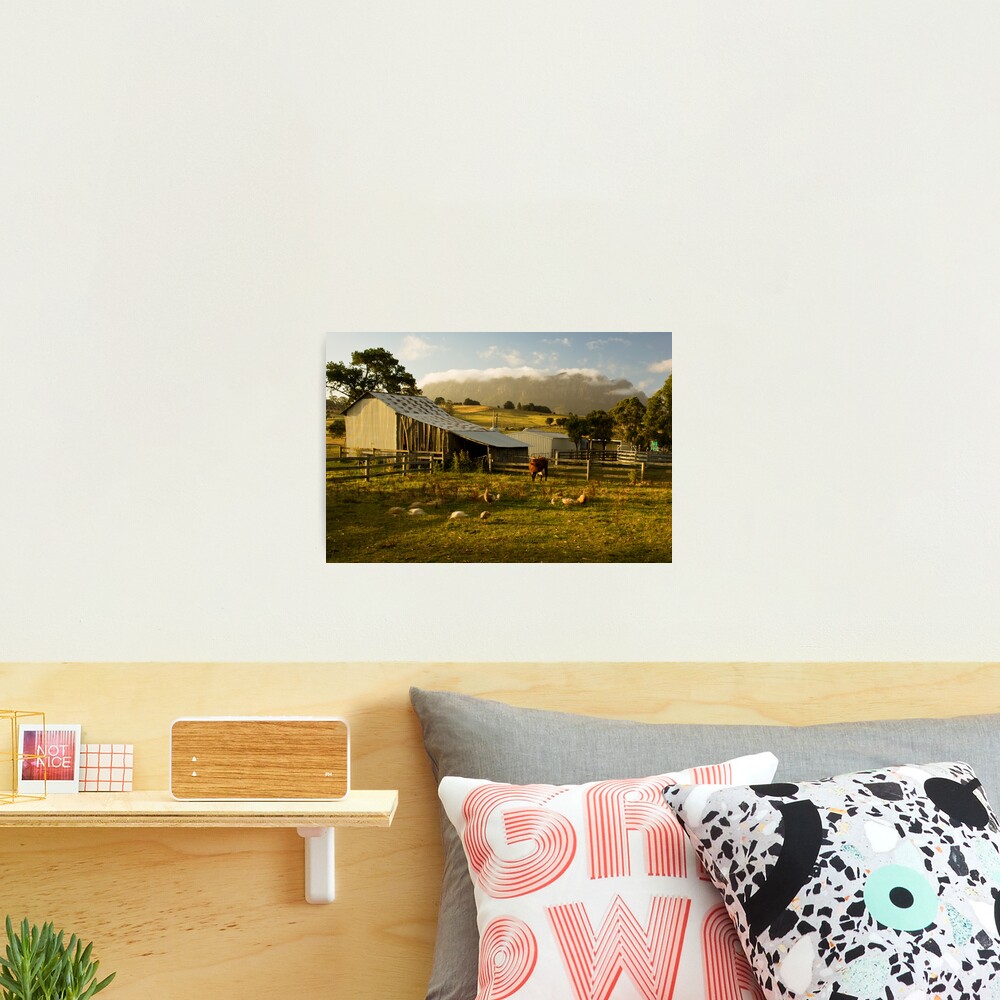 The Farmyard Photographic Print
