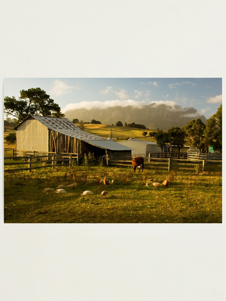 Alternate view of The Farmyard Photographic Print
