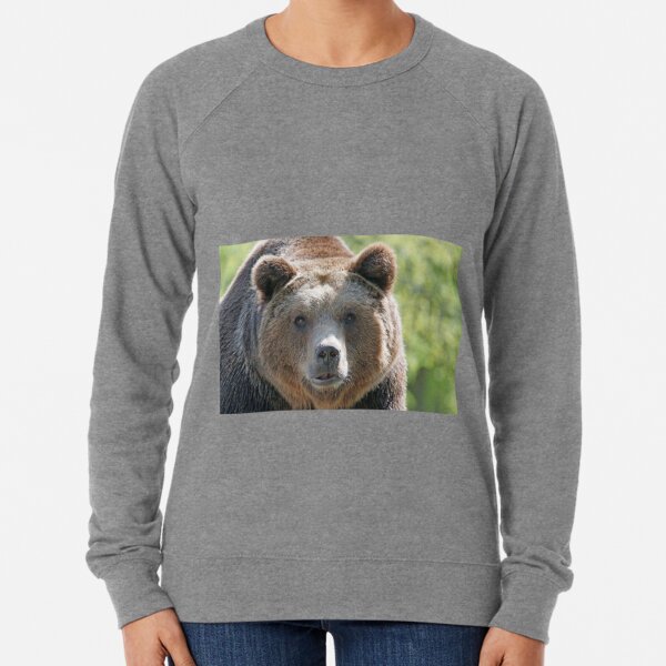 Bear, bear's face, forest bear, terrible bear, bear-to-beard Lightweight Sweatshirt