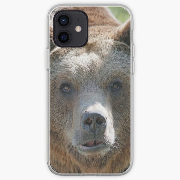 Bear, bear's face, forest bear, terrible bear, bear-to-beard iPhone Soft Case