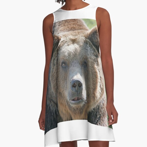 Bear, bear's face, forest bear, terrible bear, bear-to-beard A-Line Dress