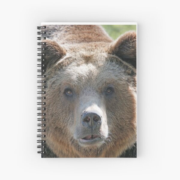 Bear, bear's face, forest bear, terrible bear, bear-to-beard Spiral Notebook