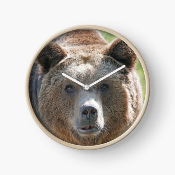 Bear, bear's face, forest bear, terrible bear, bear-to-beard Clock