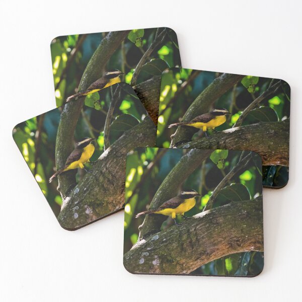 Item preview, Great Kiskadee Is Striking designed and sold by alabca.