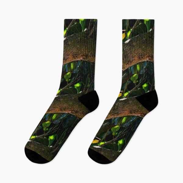 Item preview, Great Kiskadee Is Striking designed and sold by alabca.