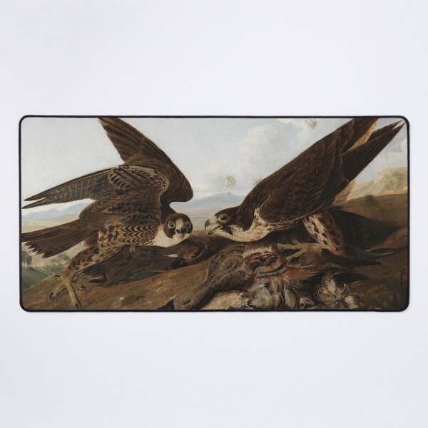 Item preview, Peregrine Falcons (Duck Hawks) | John James Audubon | 1827 Nature Art designed and sold by CJET.