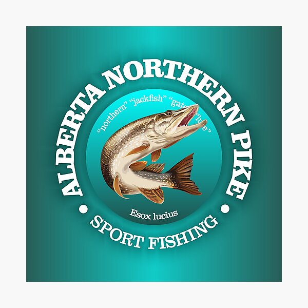 Item preview, Alberta Pike Fishing designed and sold by curranmorgan.