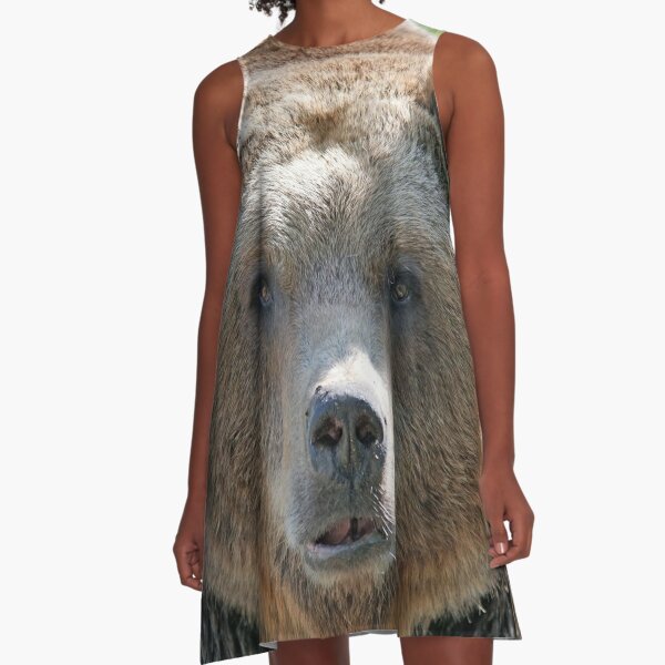 Bear's muzzle, terrible bear, brown bear, toed bear, bear A-Line Dress