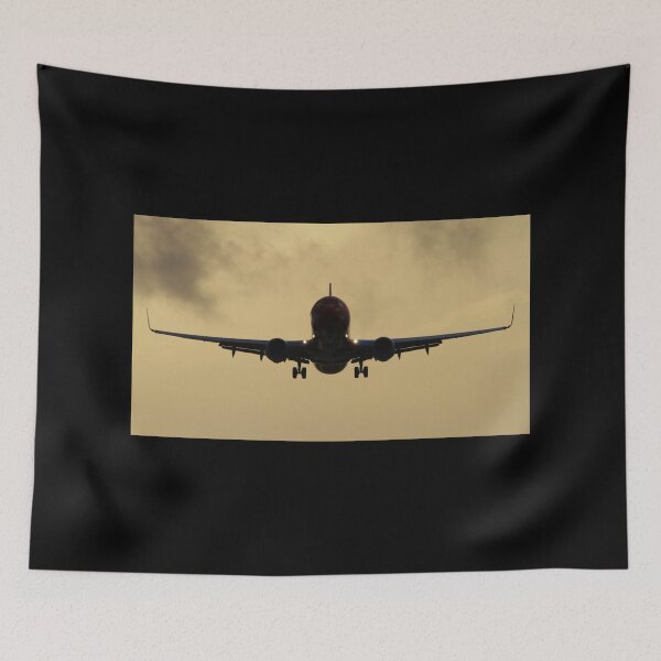 Item preview, Boeing 737 Final Approach designed and sold by code7600.