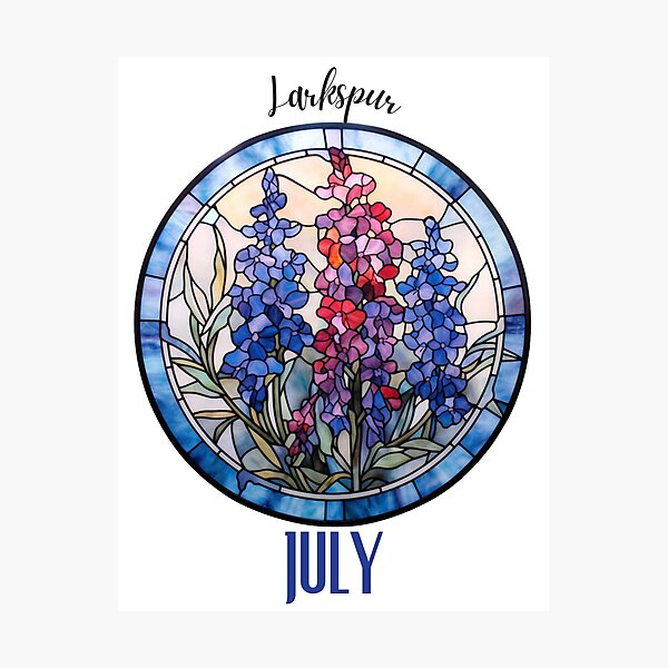 Larkspur Rainbow Maker I July Birth Flower Suncatcher Window