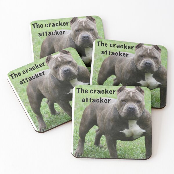Item preview, The cracker attacker  designed and sold by Funnymaybe.