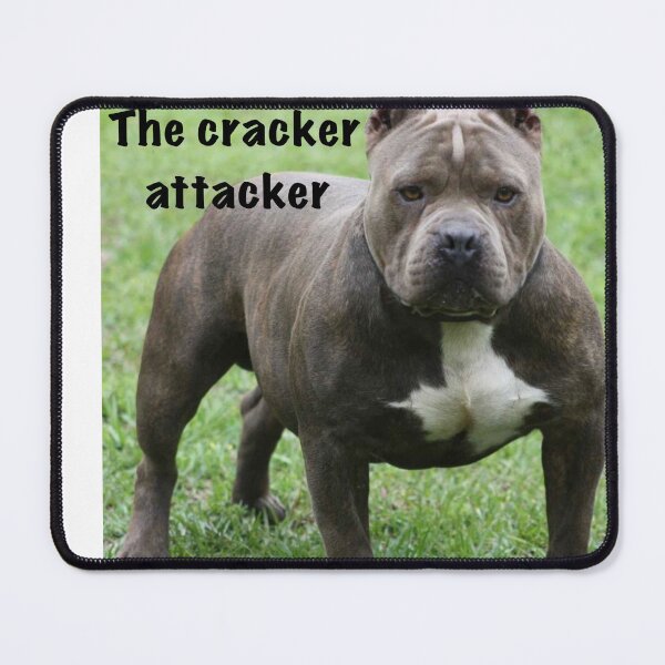 Item preview, The cracker attacker  designed and sold by Funnymaybe.