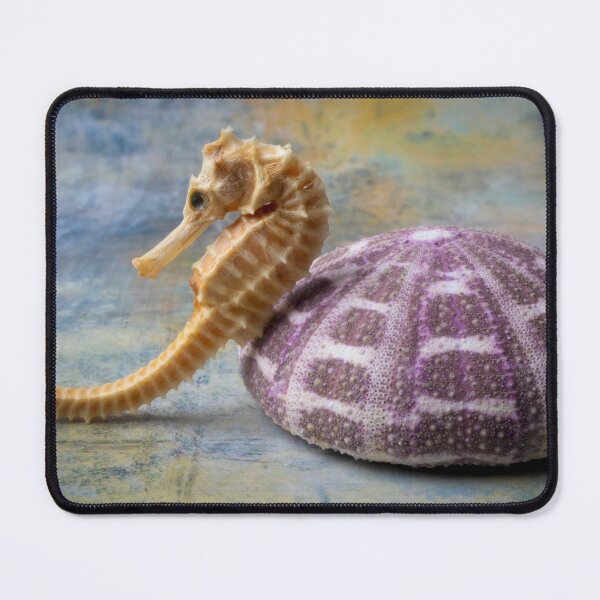 Item preview, Seahorse And Purple Sea Urchin designed and sold by Garry Gay.
