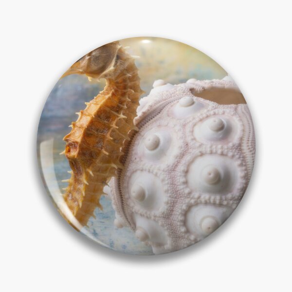 Item preview, Seahorse And Spiney Sea Urchin designed and sold by Garry Gay.