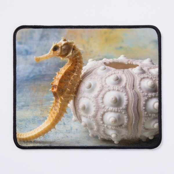 Item preview, Seahorse And Spiney Sea Urchin designed and sold by Garry Gay.