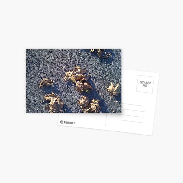 Les feuilles mortes # 2 Postcard