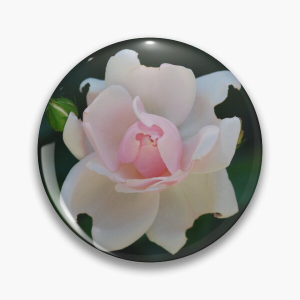 Item preview, Pink Rose designed and sold by SoelleBloom.