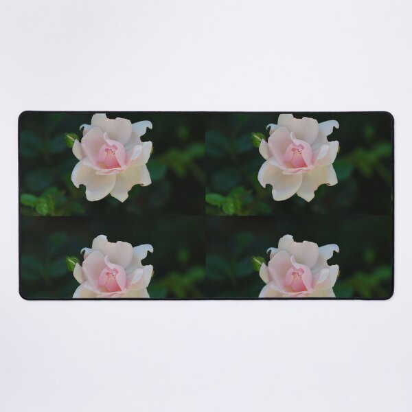 Item preview, Pink Rose designed and sold by SoelleBloom.