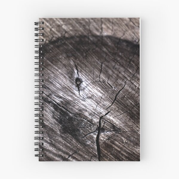 Item preview, Ode to: Tree Rings designed and sold by 3Pagans.